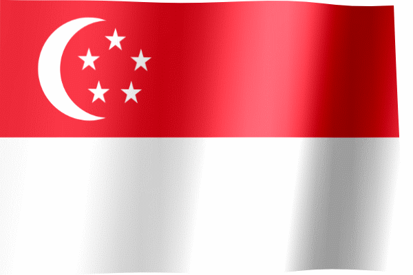 Singapore Visa Online_200314111614.gif